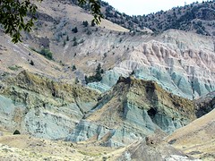 IMG_7717
