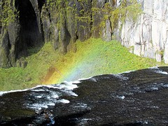 IMG_8406