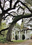 IMG_8466