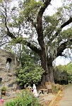 IMG_8468