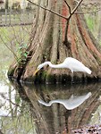 IMG_8483