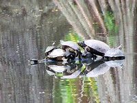 IMG_8487