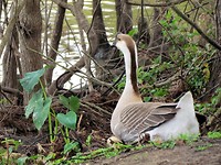IMG_8496