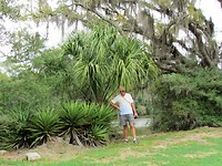 IMG_8545