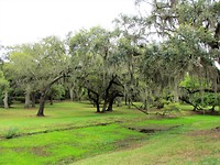 IMG_8582