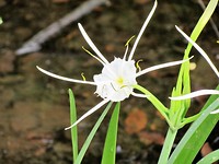 IMG_8610