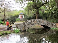 IMG_8619