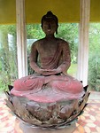IMG_8641