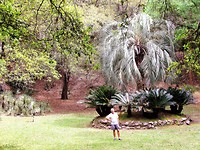 IMG_8649