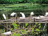 IMG_8667