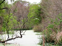 IMG_8682