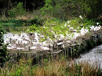IMG_8693