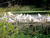 IMG_8701