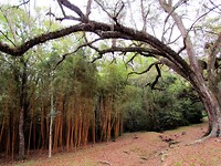 IMG_8703