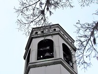 IMG_8736