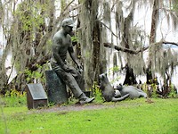 IMG_8716