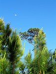 IMG_0571