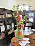 IMG_0808
