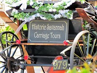 IMG_1046