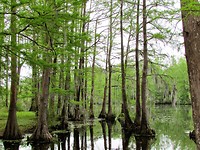 IMG_1624