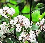 IMG_1625