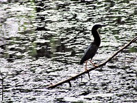 IMG_1645