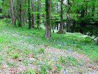 IMG_1648