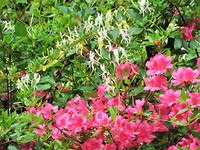 IMG_1659