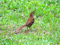 IMG_1663