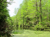 IMG_1672