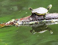IMG_1685