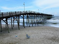 IMG_1709