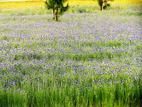 IMG_1880