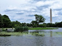 IMG_2541