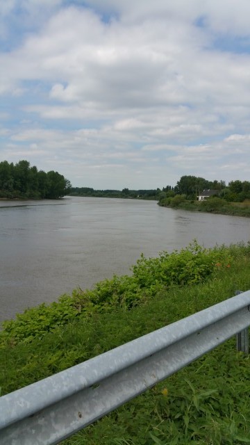 De Schelde