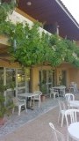 Druivenranken aan de balkons van de hotelkamers van hotel Acacias