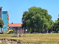 Johannes van Vlotenlaan