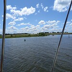 Reevediep