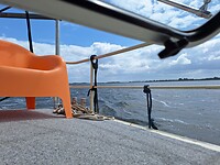 Gooimeer