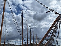 De bruine vloot in Jachthaven het Huizerhoofd
