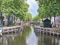 Gouda