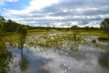 Kakadu NP