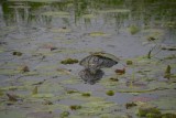 Kakadu NP