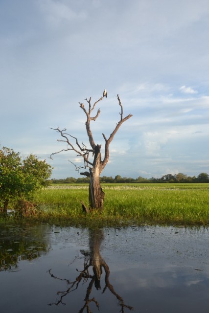 Kakadu NP