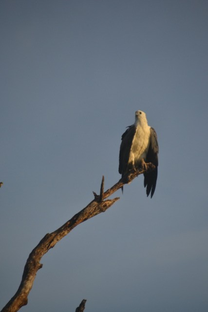 Kakadu NP