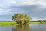 Kakadu NP