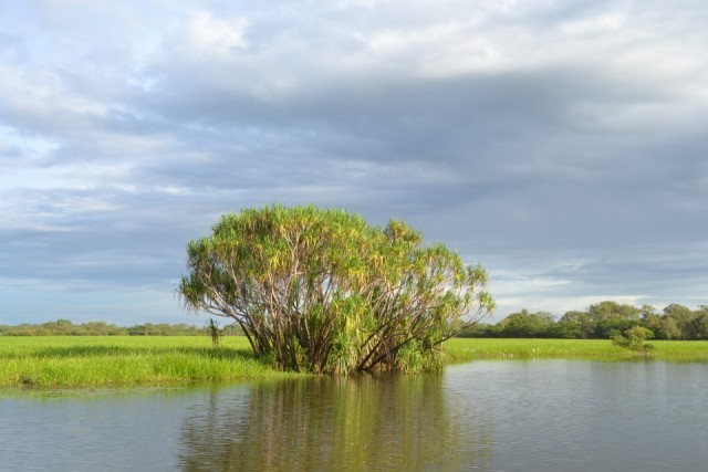 Kakadu NP