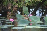 Kakadu NP