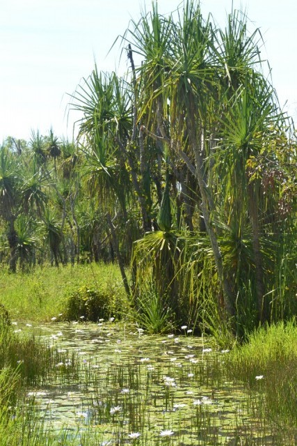 Kakadu NP