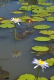 Kakadu NP